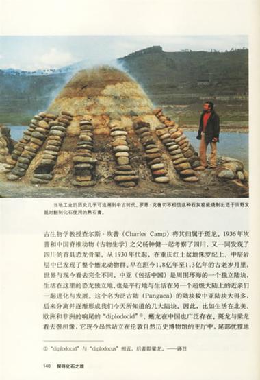 寻找化石的步骤