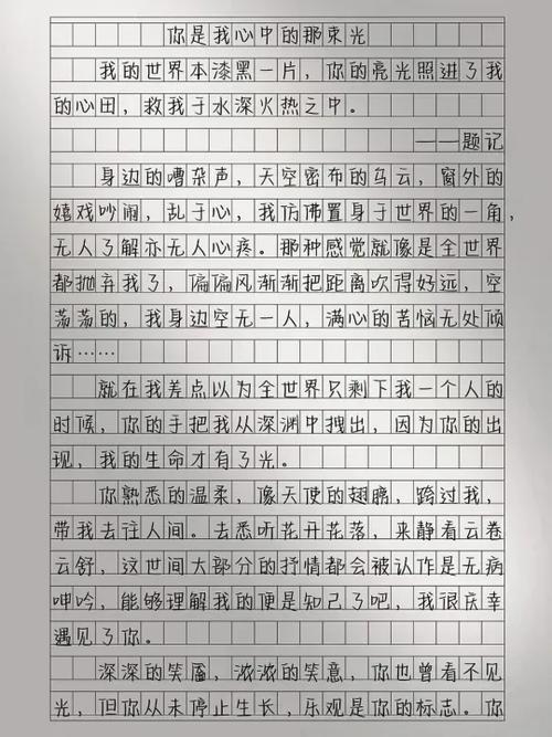 遇见你遇见光作文