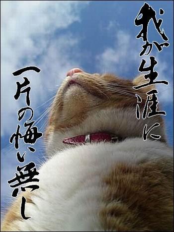 我が人生に一片悔いなし