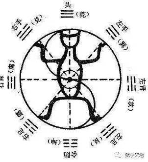 栾加芹卦象体质查询表