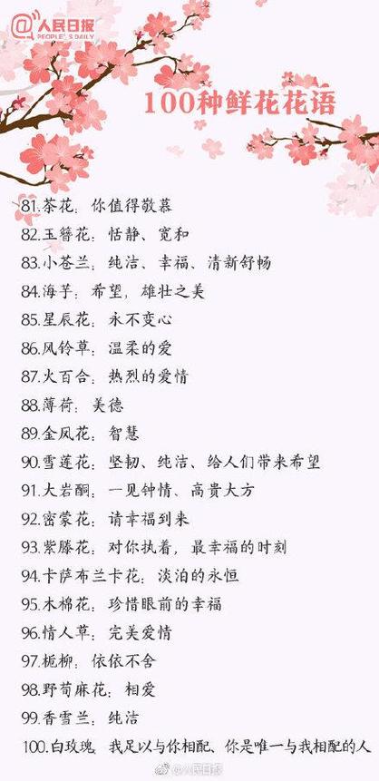 各种花的花语是什么意思