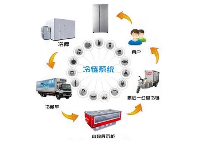 冷链是什么意思游戏截图