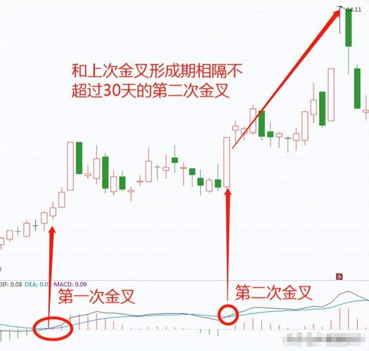 macd月线金叉选股公式截图