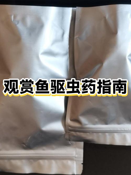 天际寄生虫任务流程