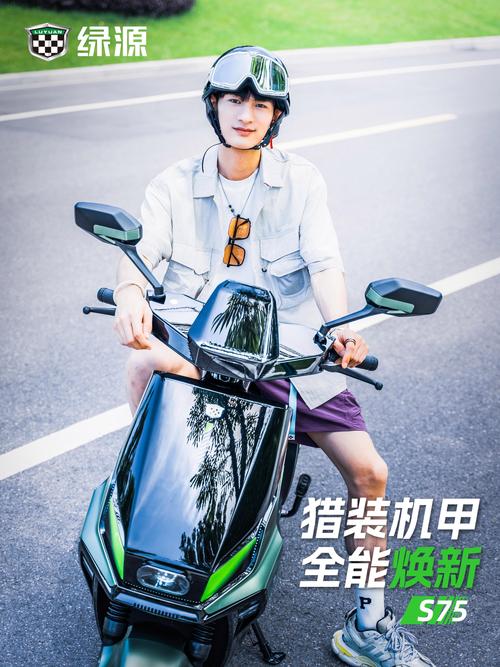 买绿源的都是什么人