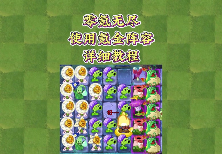 植物大战僵尸2小王不菜呀