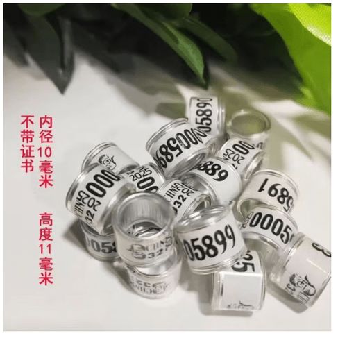 信鸽足环信鸽信息查询网