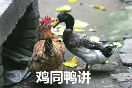 为什么说男人是鸭女人是鸡图标