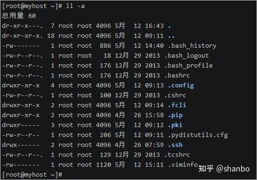 linux执行脚本文件命令