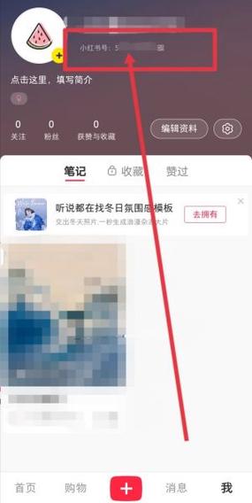 小红书复制链接怎么打不开了