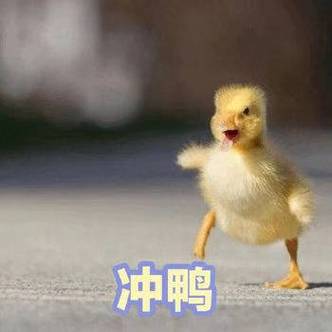 小黄鸭 冲鸭游戏截图