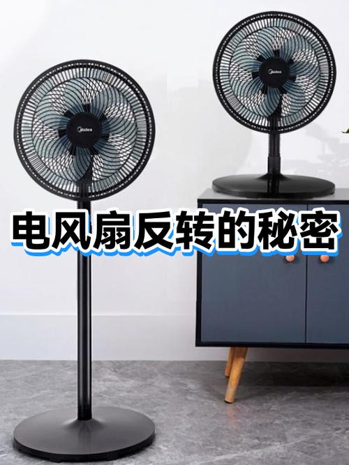 电风扇反转是什么原因