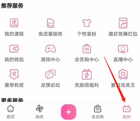 哔哩哔哩月度大会员是什么意思