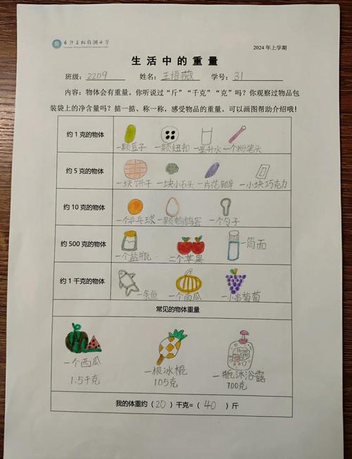 26磅和27磅有什么区别
