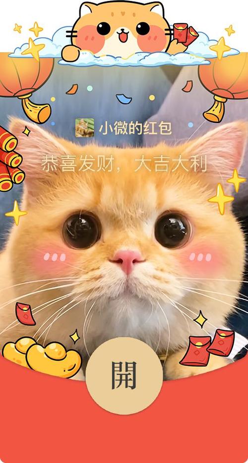 猫咪成长记红包猫谁有图标