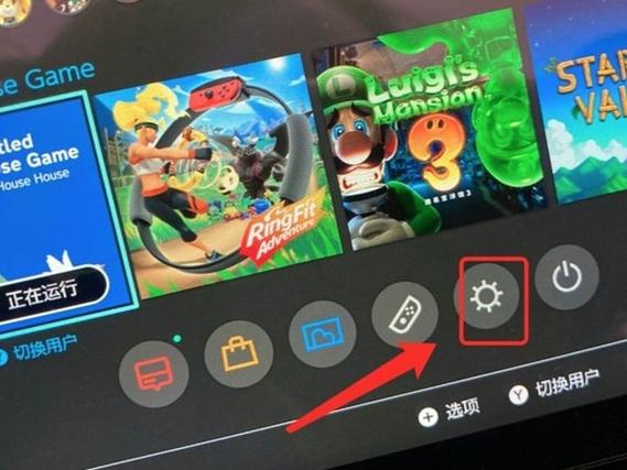 switch安装第三方软件游戏截图