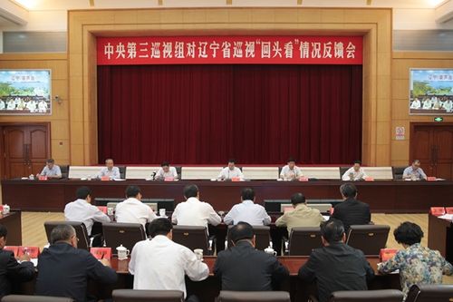 中央巡视辽宁回头看
