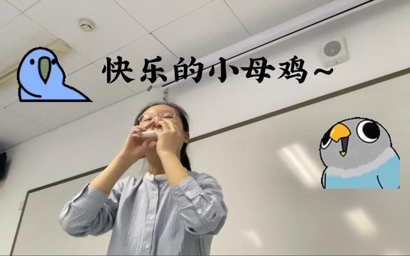 快乐的小母鸡陶笛
