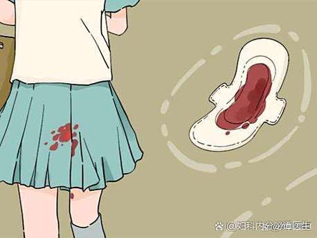 生地黄对月经有影响吗