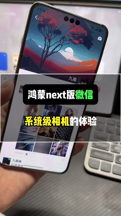 鸿蒙系统抖音保存不了照片