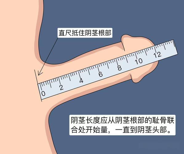 男人12公分算不算短