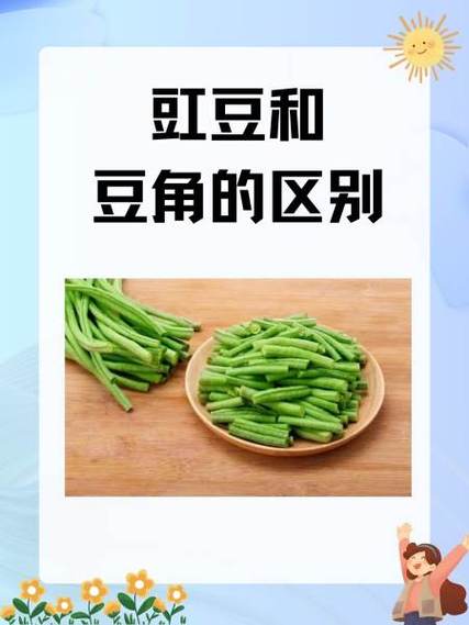 羌豆和豇豆的区别