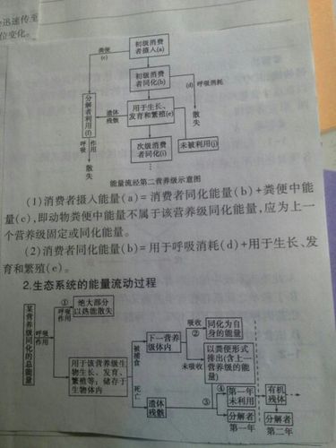 用于生长繁殖的能量怎么算