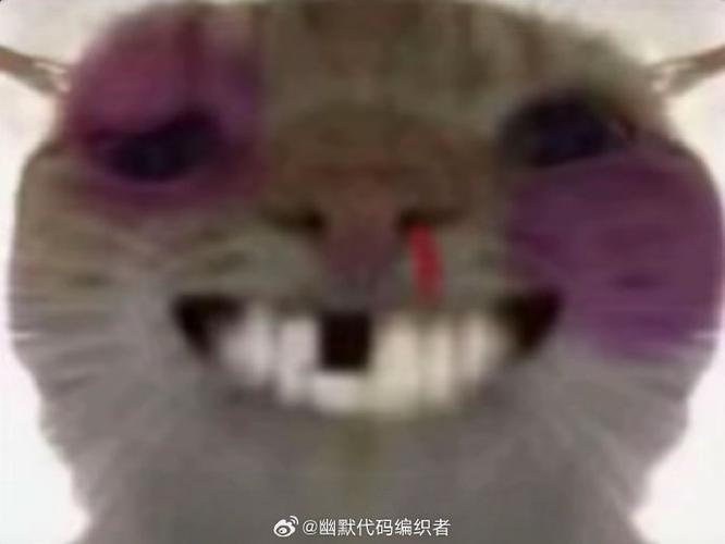 鼻青脸肿图片表情包
