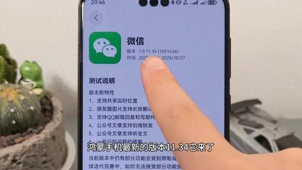 更新鸿蒙后一直跳出登录网络