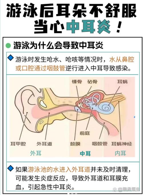 耳朵进了水怎么办