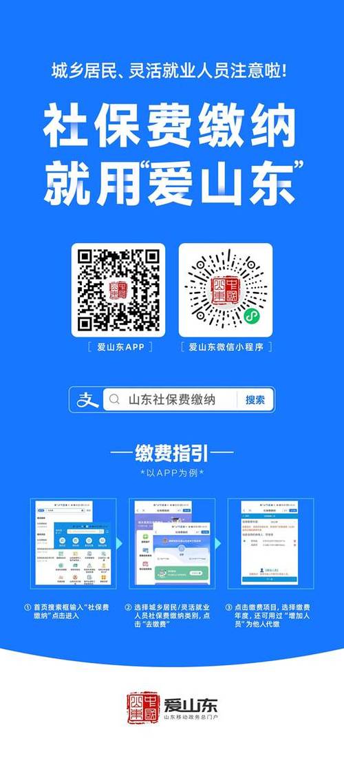 山东税务社保费缴纳小程序缩略图