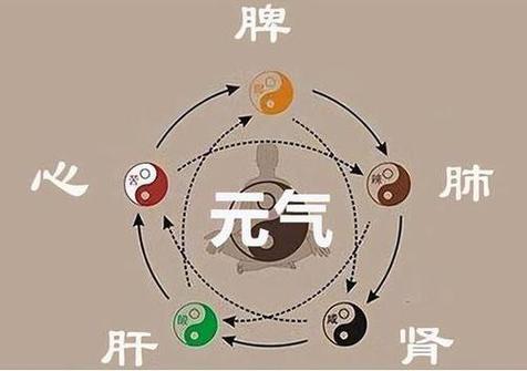 什么是人的元气