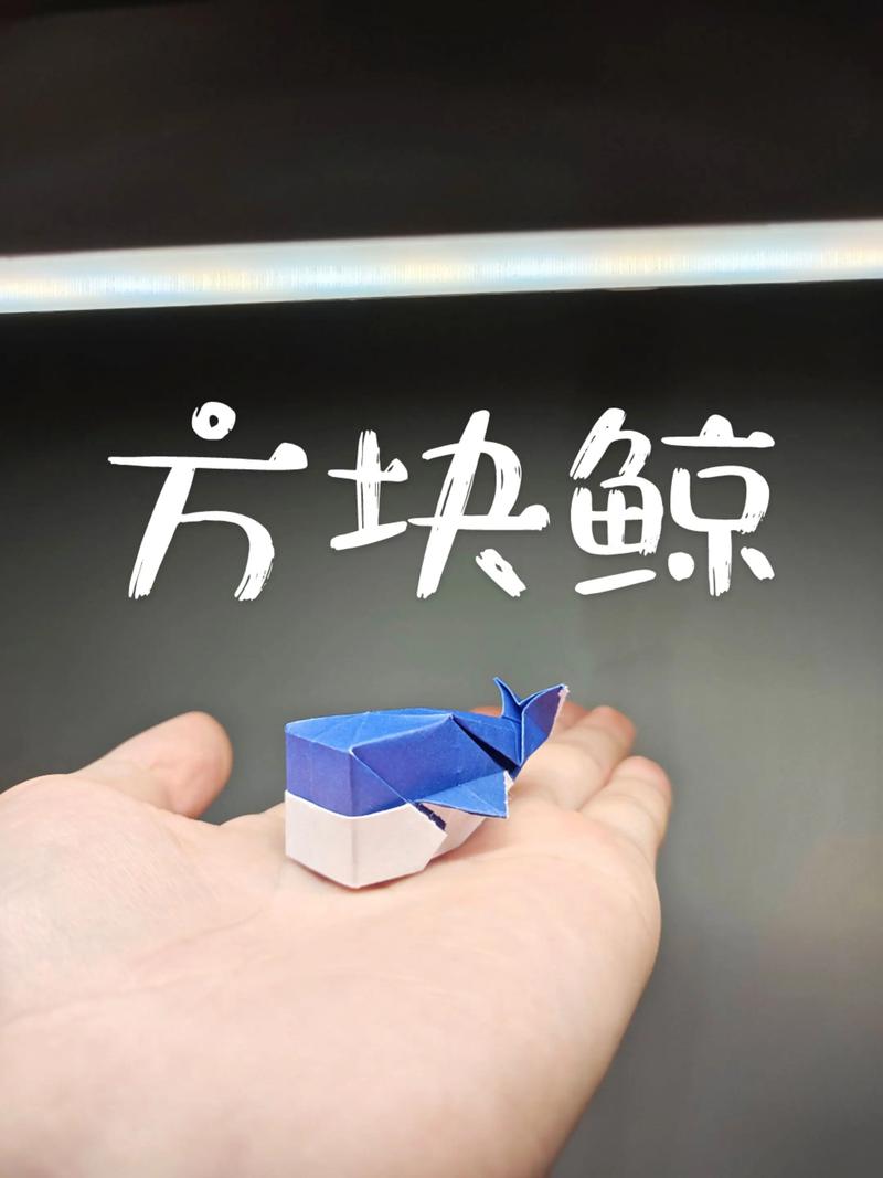 鲸小喜教程