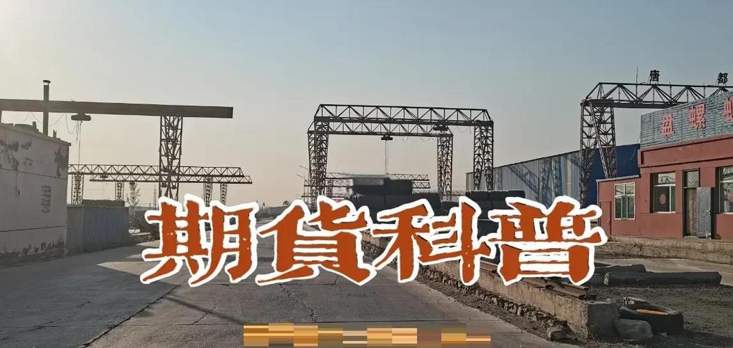 期货被强行平仓的例子