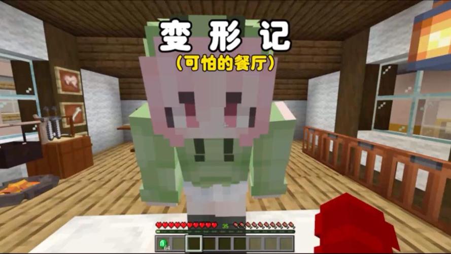 我的世界变性记20