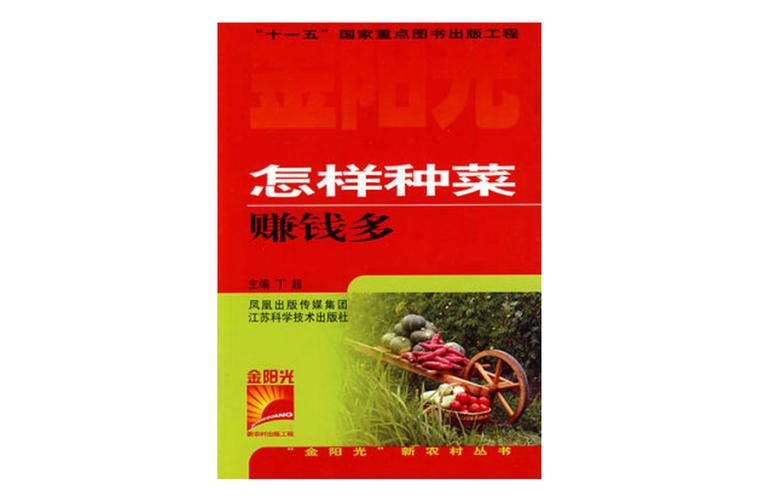 怎样种菜赚钱多