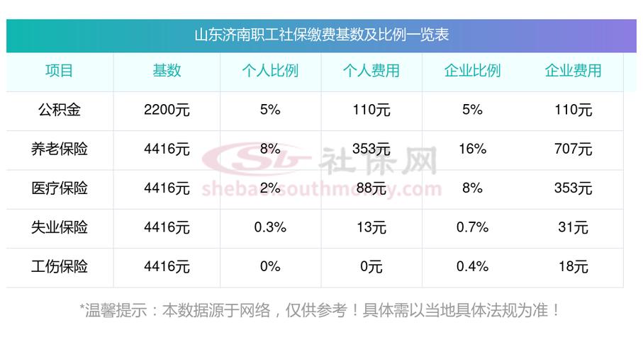 山东社保税务费缴纳