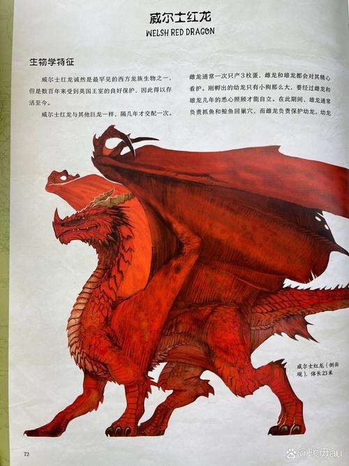 魔兽红龙蛋哪里掉图标