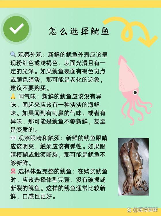 鱿鱼补充什么营养成分