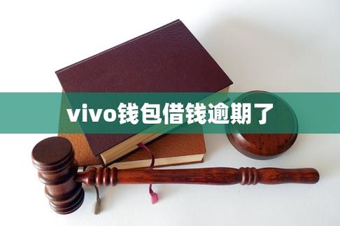 有人用vivo钱包贷款么