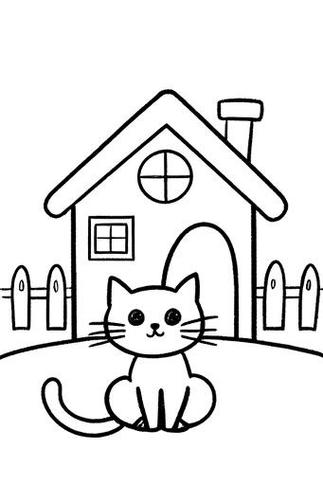 小猫领养