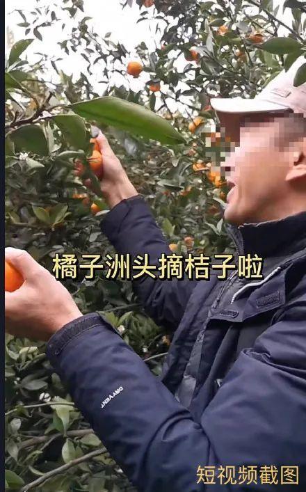 橘烟短视频