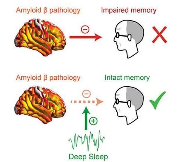 科学睡眠与普通睡眠的区别