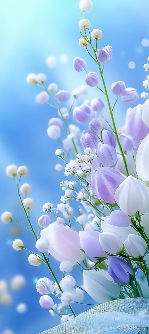 wallpaper 壁纸缩略图