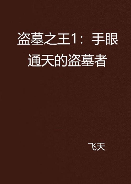 盗墓之王 小说