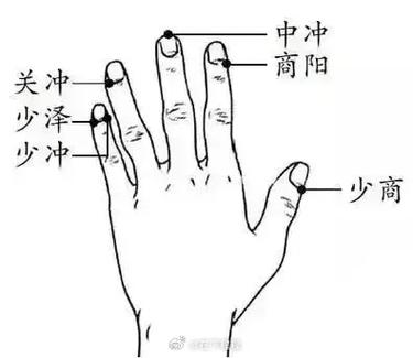 少冲和少泽