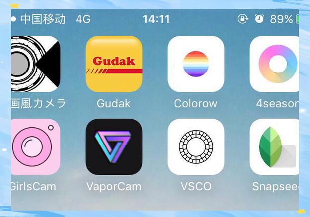 screen filter汉化版