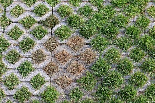 砖缝里的草怎么才能除干净