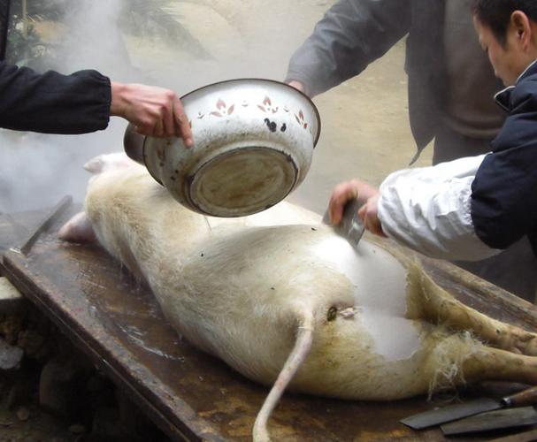 杀猪局最怕三个东西