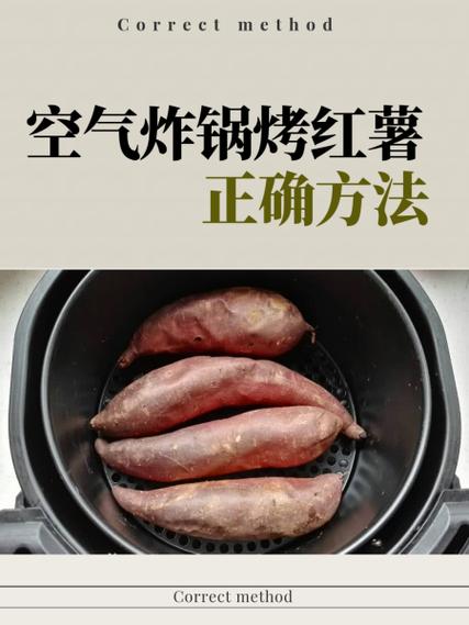 空气炸锅怎么用的正确方法